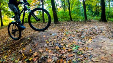 Amatör binici sonbahar sezonunda yolda gidiyor.