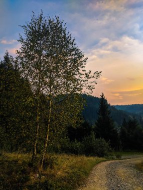 Gün batımında Carpathian dağlarıyla muhteşem güneş ışığı altında manzara