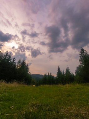 Gün batımında Carpathian dağlarıyla muhteşem güneş ışığı altında manzara