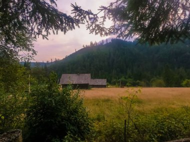 Gün batımında Carpathian dağlarıyla muhteşem güneş ışığı altında manzara