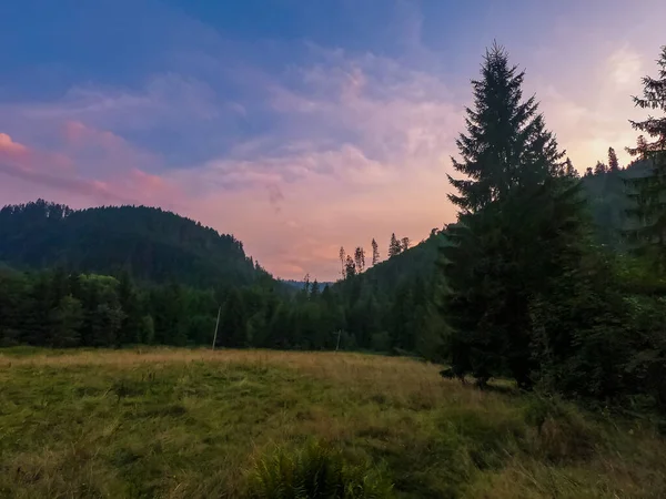 Lanskap Dengan Pegunungan Carpathian Selama Matahari Terbenam Dengan Sinar Matahari — Stok Foto