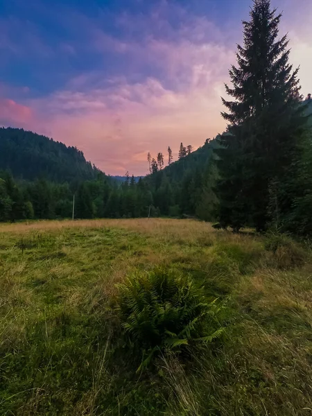 Landschap Met Karpaten Bergen Tijdens Zonsondergang Met Verbazingwekkend Zonlicht — Stockfoto