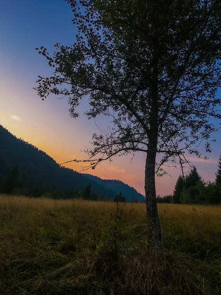 Paisagem Com Montanhas Dos Cárpatos Durante Pôr Sol Com Incrível — Fotografia de Stock