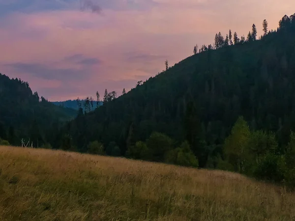 Gün Batımında Carpathian Dağlarıyla Muhteşem Güneş Işığı Altında Manzara — Stok fotoğraf