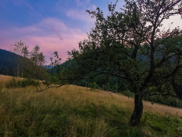 Gün Batımında Carpathian Dağlarıyla Muhteşem Güneş Işığı Altında Manzara — Stok fotoğraf