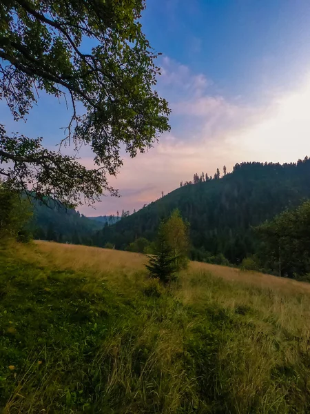 Gün Batımında Carpathian Dağlarıyla Muhteşem Güneş Işığı Altında Manzara — Stok fotoğraf