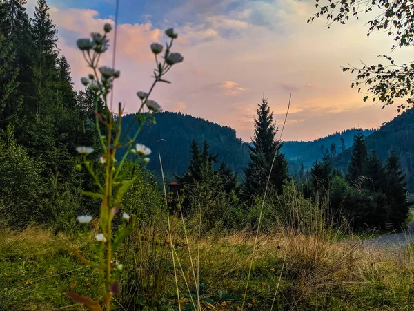 Gün Batımında Carpathian Dağlarıyla Muhteşem Güneş Işığı Altında Manzara — Stok fotoğraf