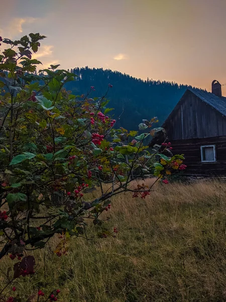 Landschaft Mit Karpaten Bei Sonnenuntergang Mit Herrlichem Sonnenlicht — Stockfoto