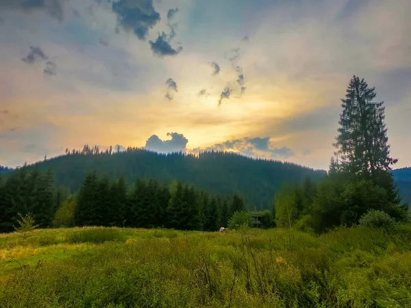 Paisagem Com Montanhas Dos Cárpatos Durante Pôr Sol Com Incrível — Fotografia de Stock