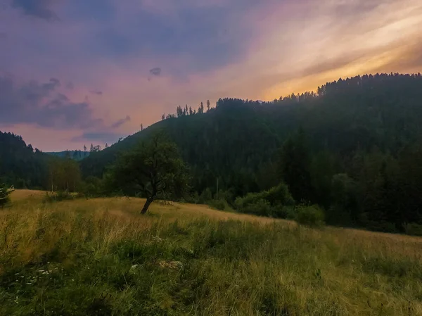 Gün Batımında Carpathian Dağlarıyla Muhteşem Güneş Işığı Altında Manzara — Stok fotoğraf