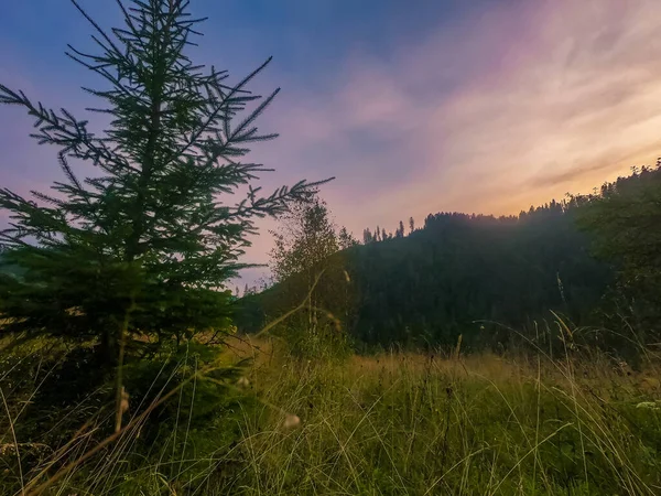 Landschap Met Karpaten Bergen Tijdens Zonsondergang Met Verbazingwekkend Zonlicht — Stockfoto