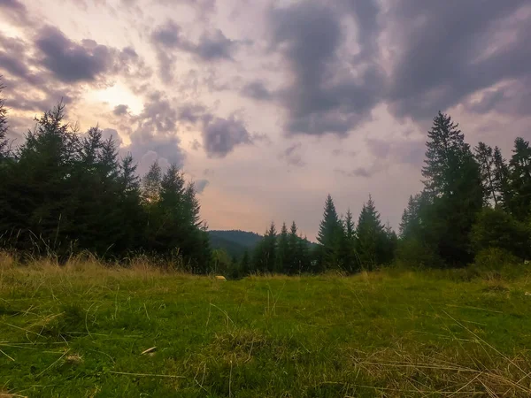 Tájkép Kárpátok Naplemente Alatt Csodálatos Napfény — Stock Fotó