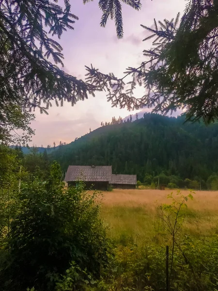 Landskap Med Karpatiska Bergen Solnedgången Med Fantastiskt Solljus — Stockfoto