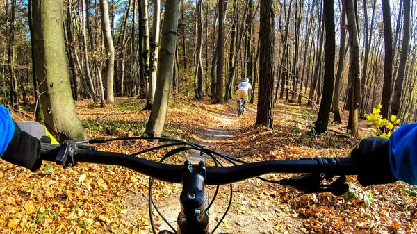 Jeździec Amator Rowerze Enduro Jazdy Szlaku Sezonie Jesiennym — Zdjęcie stockowe