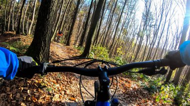 Sonbahar sezonunda enduro bisikleti süren amatör bir binici.