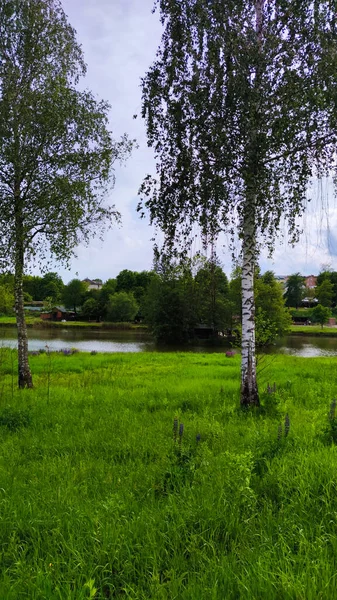 Ландшафтний Фон Весняний Сезон Стежкою Деревами — стокове фото