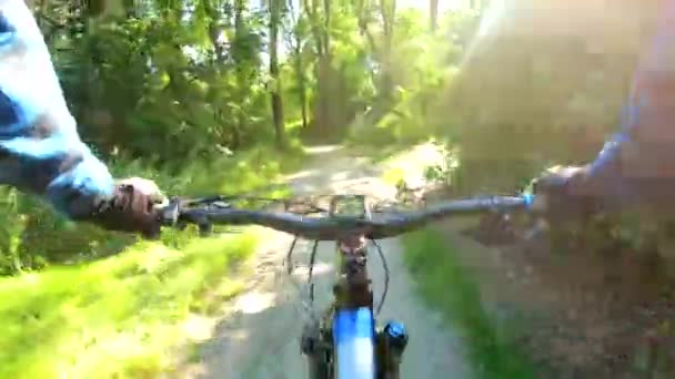 Amateur Rider Bicycle Summer Park — Stock Video