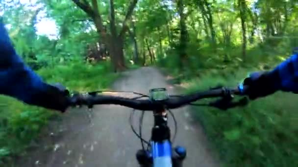 Amateurradler Auf Dem Fahrrad Sommerpark — Stockvideo