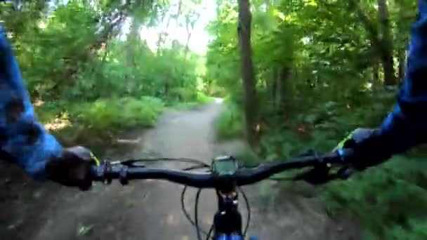 Amador Cavaleiro Bicicleta Parque Verão — Vídeo de Stock