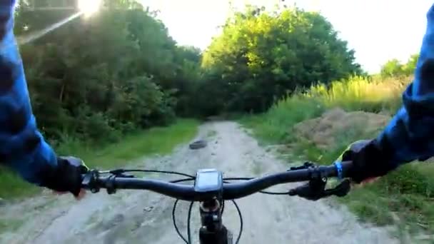 Amador Cavaleiro Bicicleta Parque Verão — Vídeo de Stock