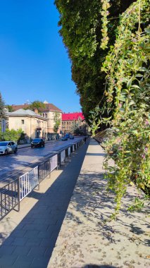 Yaz mevsiminde Lviv City Eski Mimarlık