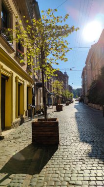 Yaz mevsiminde Lviv City Eski Mimarlık