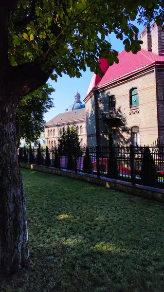 Vieille Architecture Ville Lviv Saison Estivale — Photo