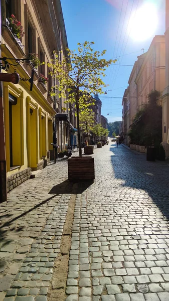 Yaz Mevsiminde Lviv City Eski Mimarlık — Stok fotoğraf