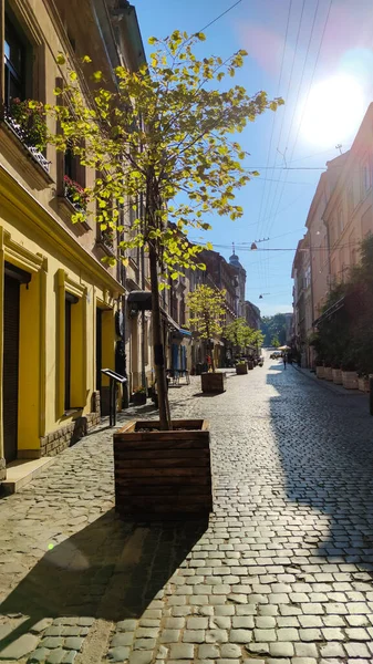 Lviv City Old Architecture Nyári Szezonban Stock Kép