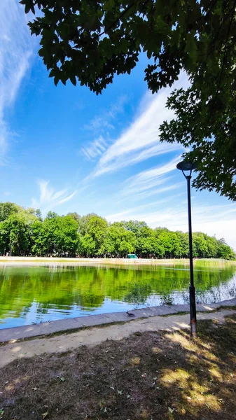 Yaz mevsiminde göl ve gökyüzü ile muhteşem bir manzara.