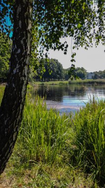 Şehir parkında mükemmel bir göl