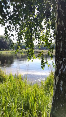Şehir parkında mükemmel bir göl