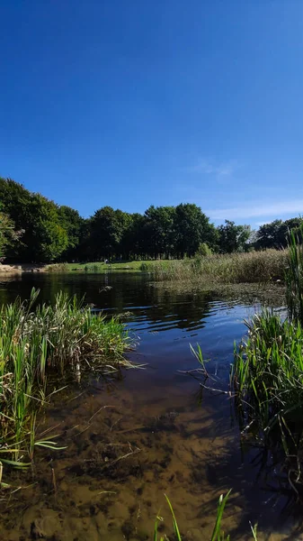 Perfect Meer Het Stadspark Rechtenvrije Stockafbeeldingen