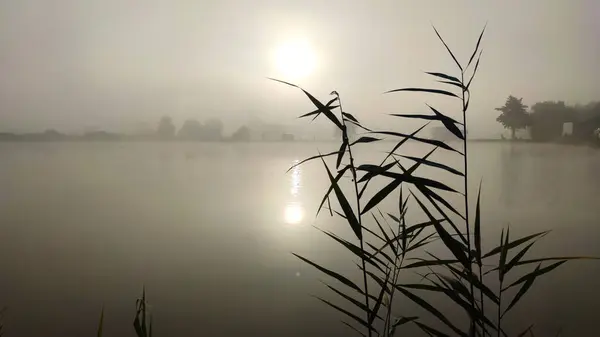 Fishing Lake Foggy Morning — Stock Photo, Image