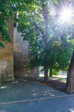 Sonbahar sezonunda Lviv City Eski Mimarlık