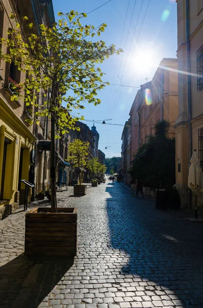 Ciudad Lviv Arquitectura Antigua Temporada Otoño — Foto de Stock