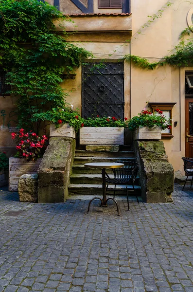 Sonbahar sezonunda Lviv City Eski Mimarlık