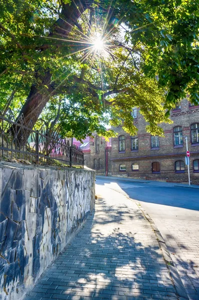 Cidade Lviv Arquitetura Antiga Temporada Outono Fotos De Bancos De Imagens