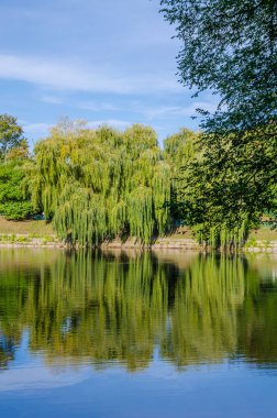 Sonbahar sezonunda sıcak ve güneşli bir günde şehir parkı. Manzara güneş ışığıyla tamamlandı