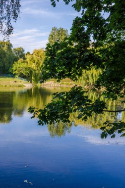 Sonbahar sezonunda sıcak ve güneşli bir günde şehir parkı. Manzara güneş ışığıyla tamamlandı