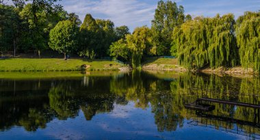 Sonbahar sezonunda sıcak ve güneşli bir günde şehir parkı. Manzara güneş ışığıyla tamamlandı