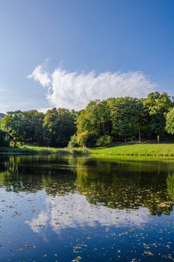 Sonbahar sezonunda sıcak ve güneşli bir günde şehir parkı. Manzara güneş ışığıyla tamamlandı