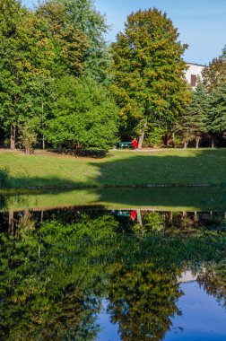 Sonbahar sezonunda sıcak ve güneşli bir günde şehir parkı. Manzara güneş ışığıyla tamamlandı