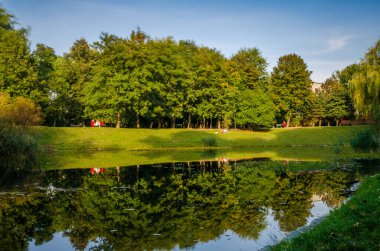 Sonbahar sezonunda sıcak ve güneşli bir günde şehir parkı. Manzara güneş ışığıyla tamamlandı