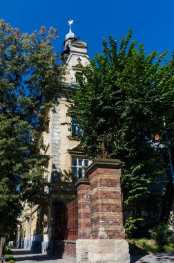 Lviv Eski Şehir mimarisi Sonbaharda güneşli bir günde