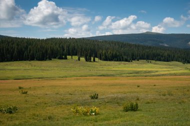 Colorado 'nun Telluride yakınlarındaki dağlarda geniş, açık çimenli manzaralar..
