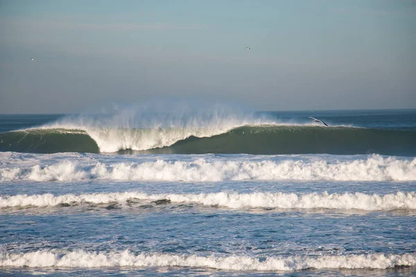 Grande Surf Libras Costa Norte Califórnia — Fotografia de Stock