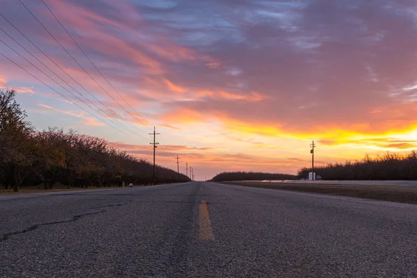 Kaliforniya, Central Valley 'de kırsal bir yol şafakta