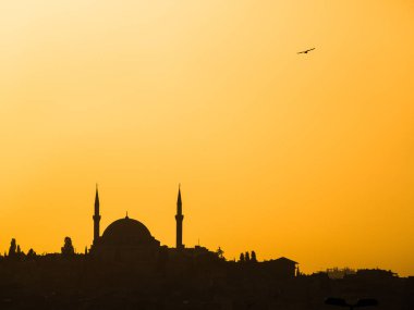 Istanbul 'da yavuz selim Camii 'nin silueti (Cami) ve arka planda yalnız kuş ile açık sarı günbatımı gökyüzü