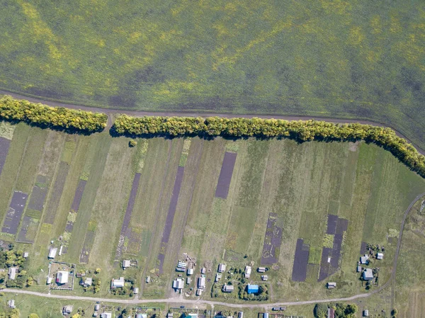 Yaz sezonunda köyün drone üst görünümü. Orman kuşağına bölünmüş yeşil çim alanları olan evlerin ve çiftliklerin çatıları. Pastoral kırsal manzara kuş bakışı görünümü. Penza region, Rusya Federasyonu.